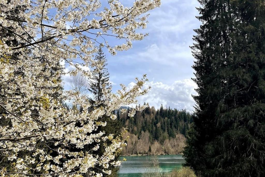 Wohnung Mit Fantastischer Aussicht Trin 外观 照片